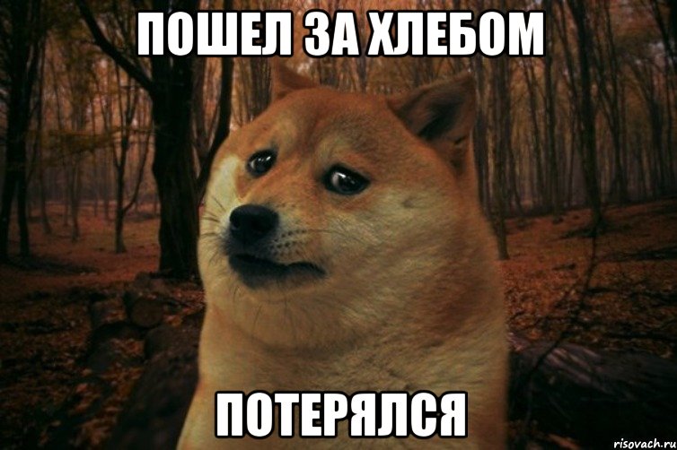 Пошел за хлебом Потерялся, Мем SAD DOGE