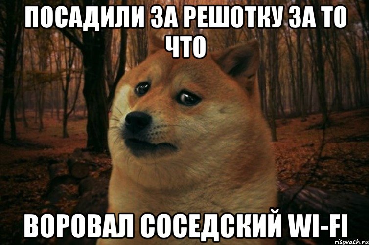 Посадили за решотку за то что Воровал соседский wi-fi, Мем SAD DOGE