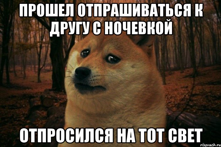 Прошел отпрашиваться к другу с ночевкой Отпросился на тот свет, Мем SAD DOGE