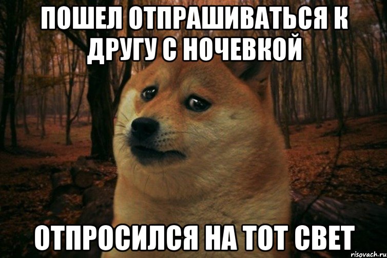 Пошел отпрашиваться к другу с ночевкой Отпросился на тот свет, Мем SAD DOGE