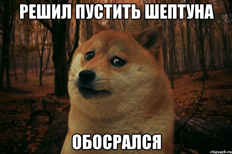 РЕШИЛ ПУСТИТЬ ШЕПТУНА ОБОСРАЛСЯ, Мем SAD DOGE