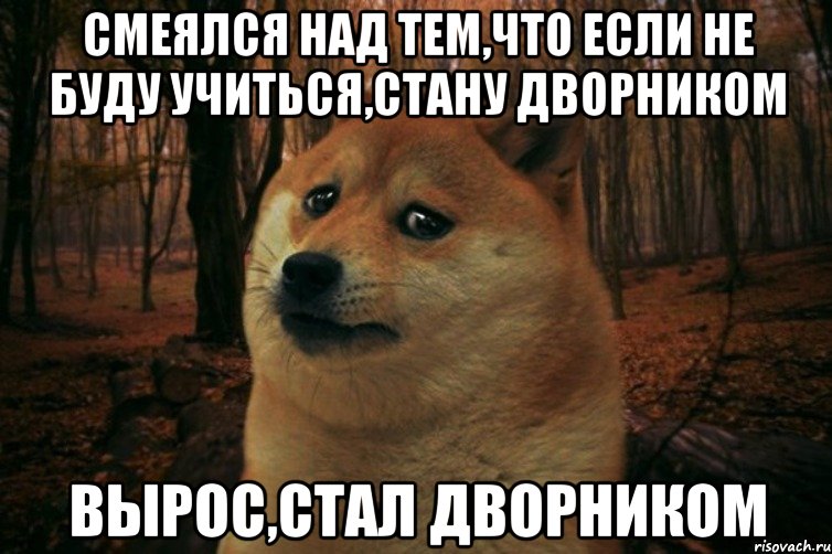 смеялся над тем,что если не буду учиться,стану дворником вырос,стал дворником, Мем SAD DOGE