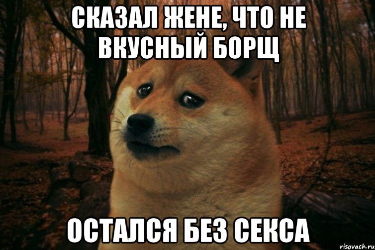 СКАЗАЛ ЖЕНЕ, ЧТО НЕ ВКУСНЫЙ БОРЩ ОСТАЛСЯ БЕЗ СЕКСА, Мем SAD DOGE