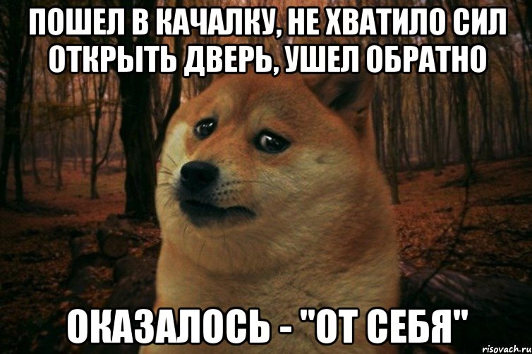 пошел в качалку, не хватило сил открыть дверь, ушел обратно оказалось - "от себя", Мем SAD DOGE