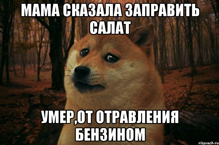 Мама сказала заправить салат Умер,от отравления бензином, Мем SAD DOGE