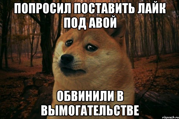 ПОПРОСИЛ ПОСТАВИТЬ ЛАЙК ПОД АВОЙ ОБВИНИЛИ В ВЫМОГАТЕЛЬСТВЕ, Мем SAD DOGE