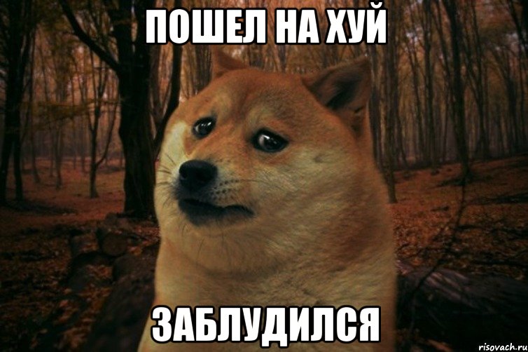 пошел на хуй заблудился, Мем SAD DOGE