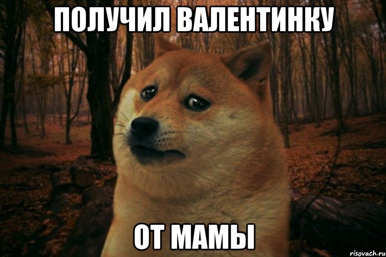 ПОЛУЧИЛ ВАЛЕНТИНКУ ОТ МАМЫ, Мем SAD DOGE