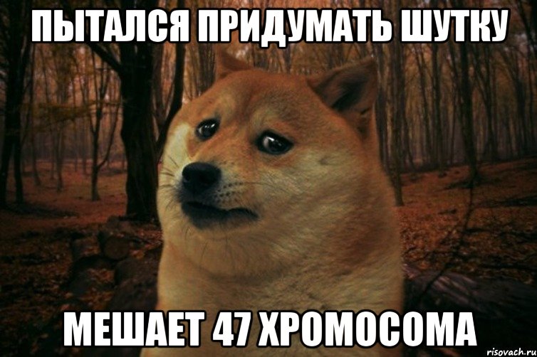 ПЫТАЛСЯ ПРИДУМАТЬ ШУТКУ МЕШАЕТ 47 ХРОМОСОМА, Мем SAD DOGE