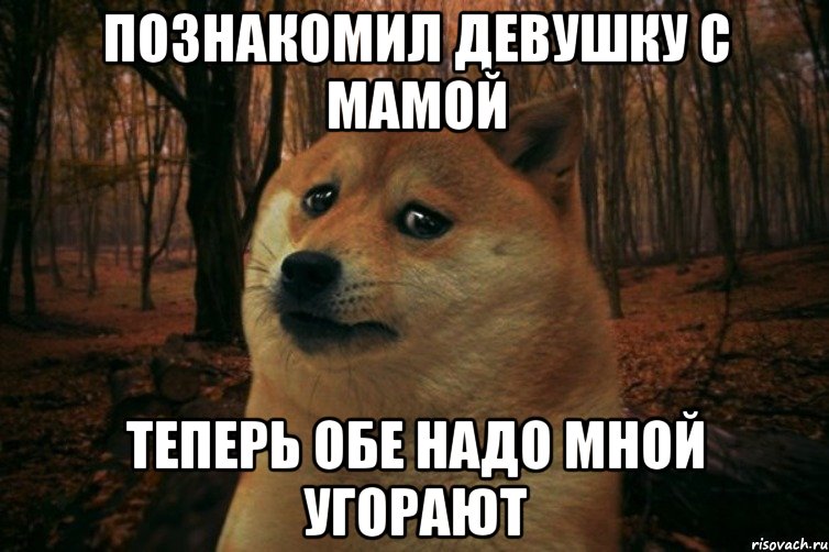 познакомил девушку с мамой теперь обе надо мной угорают, Мем SAD DOGE