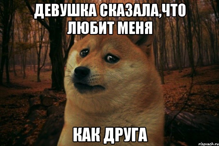 девушка сказала,что любит меня как друга, Мем SAD DOGE