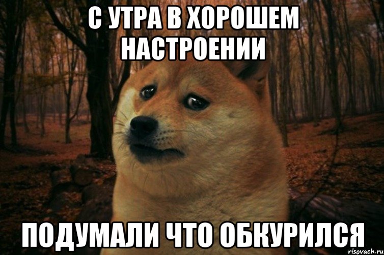 С УТРА В ХОРОШЕМ НАСТРОЕНИИ ПОДУМАЛИ ЧТО ОБКУРИЛСЯ, Мем SAD DOGE