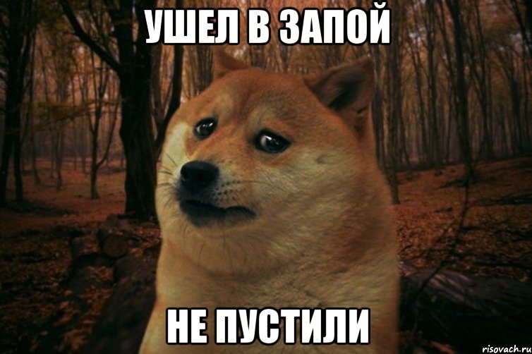 ушел в запой не пустили, Мем SAD DOGE