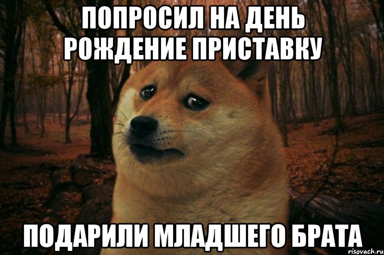 Попросил на день рождение приставку Подарили младшего брата, Мем SAD DOGE