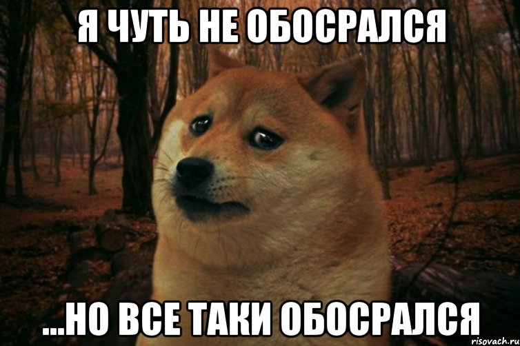 Я чуть не обосрался ...но все таки обосрался, Мем SAD DOGE