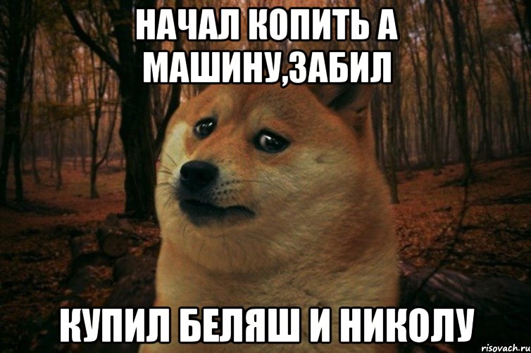 Начал копить а машину,забил Купил беляш и Николу, Мем SAD DOGE