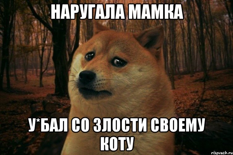 Наругала мамка У*бал со злости своему коту, Мем SAD DOGE