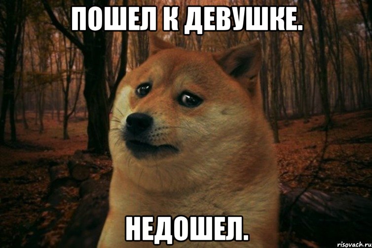 Пошел к девушке. Недошел., Мем SAD DOGE