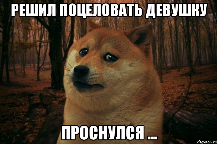 Решил поцеловать девушку Проснулся ..., Мем SAD DOGE