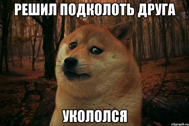 решил подколоть друга укололся, Мем SAD DOGE