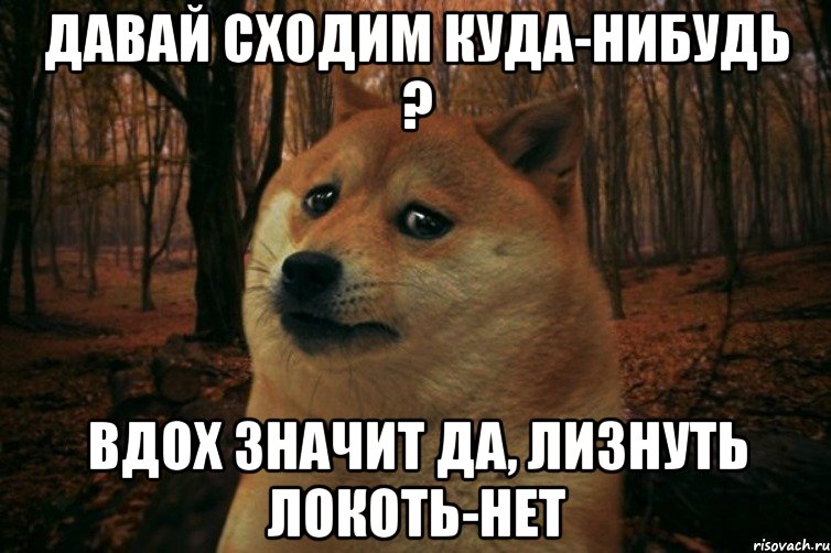 давай сходим куда-нибудь ? вдох значит да, лизнуть локоть-нет, Мем SAD DOGE