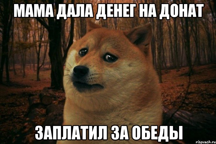 Мама дала денег на донат Заплатил за обеды, Мем SAD DOGE