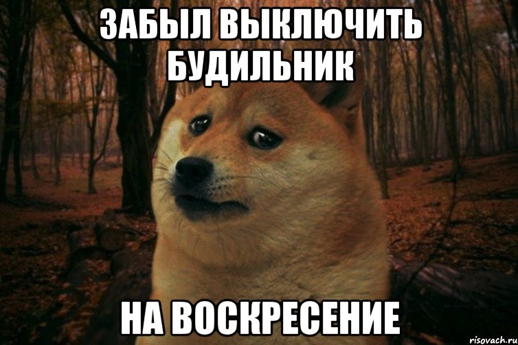 Забыл выключить будильник На воскресение, Мем SAD DOGE