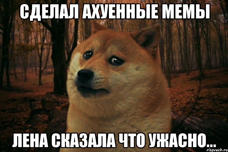 Сделал ахуенные мемы Лена сказала что ужасно..., Мем SAD DOGE