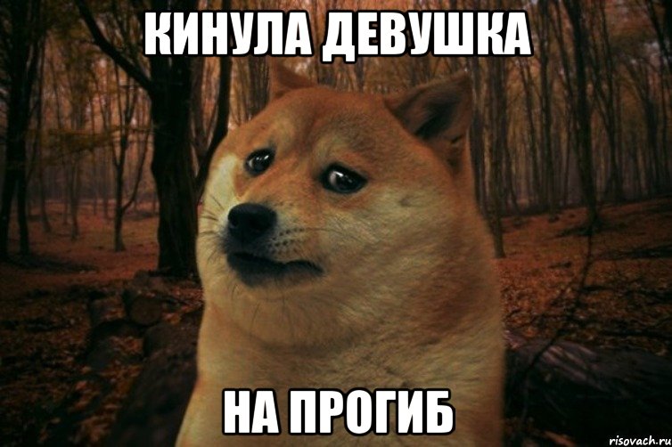 кинула девушка на прогиб, Мем SAD DOGE