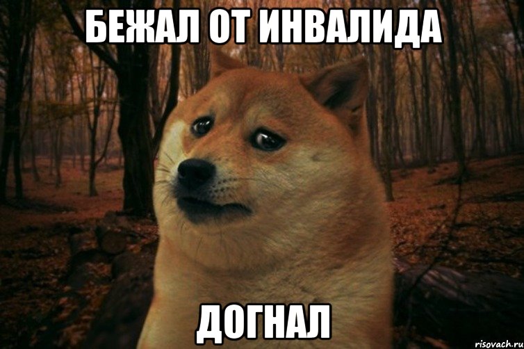 бежал от инвалида догнал, Мем SAD DOGE