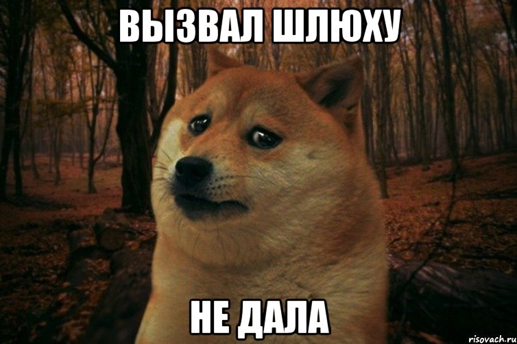 вызвал шлюху не дала, Мем SAD DOGE