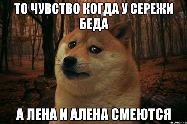 То чувство Когда у Сережи беда А Лена и Алена смеются, Мем SAD DOGE