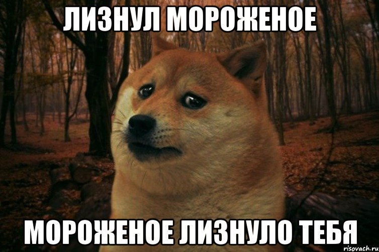 Лизнул мороженое мороженое лизнуло тебя, Мем SAD DOGE