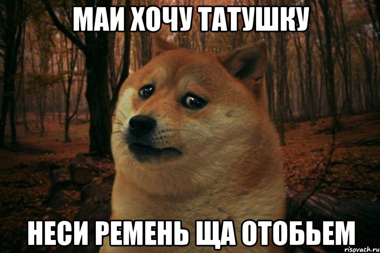 Маи хочу татушку Неси ремень ща отобьем, Мем SAD DOGE