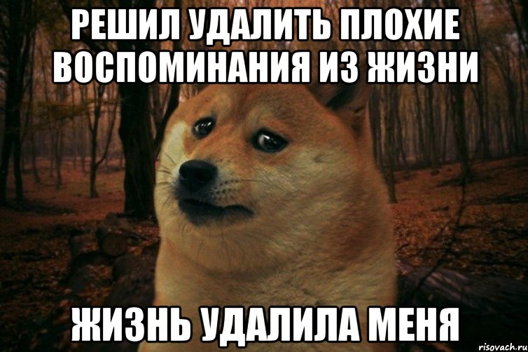 Решил удалить плохие воспоминания из жизни Жизнь удалила меня, Мем SAD DOGE