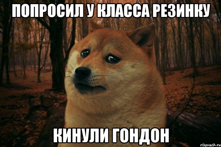 попросил у класса резинку кинули гондон, Мем SAD DOGE