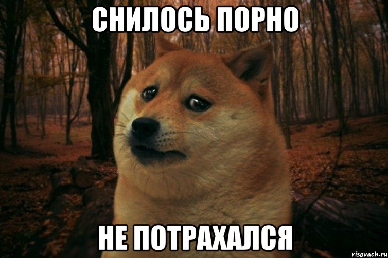 Снилось порно Не потрахался, Мем SAD DOGE