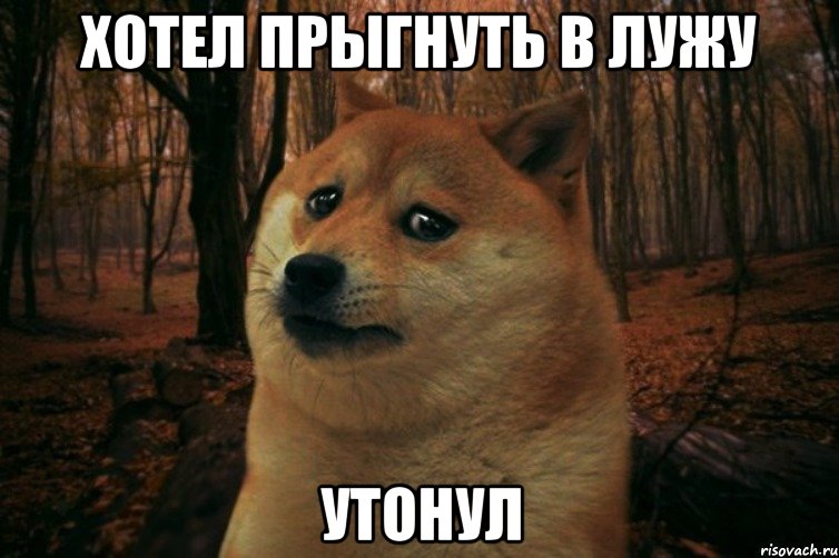 хотел прыгнуть в лужу утонул, Мем SAD DOGE