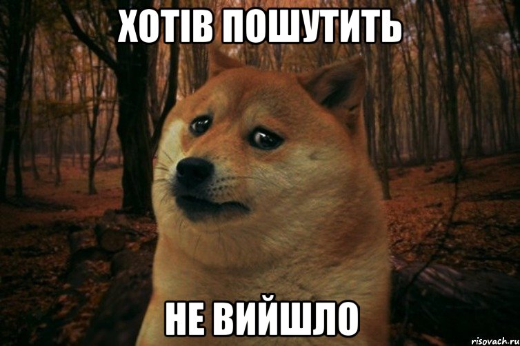 хотів пошутить не вийшло, Мем SAD DOGE