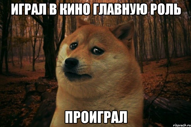 играл в кино главную роль проиграл, Мем SAD DOGE