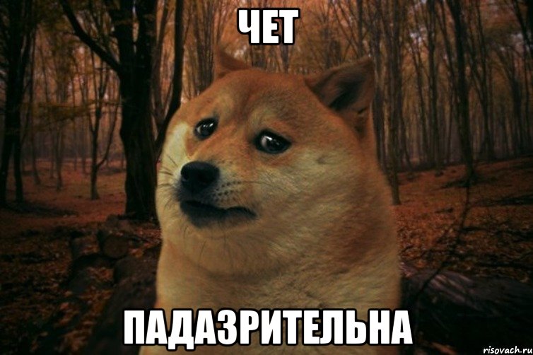 Чет падазрительна, Мем SAD DOGE