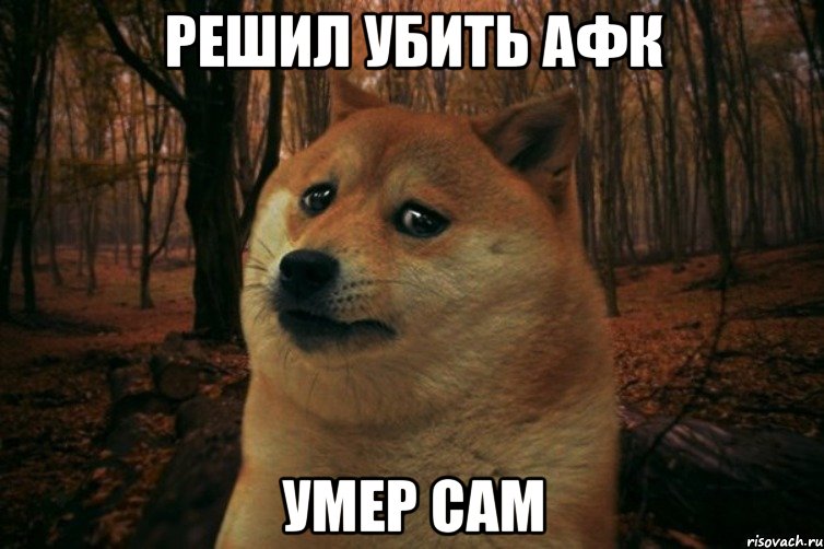 Решил убить афк Умер сам, Мем SAD DOGE