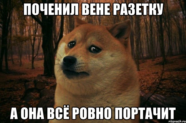 поченил вене разетку а она всё ровно портачит, Мем SAD DOGE