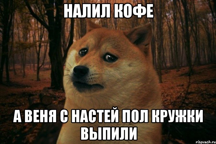 налил кофе а веня с настей пол кружки выпили, Мем SAD DOGE