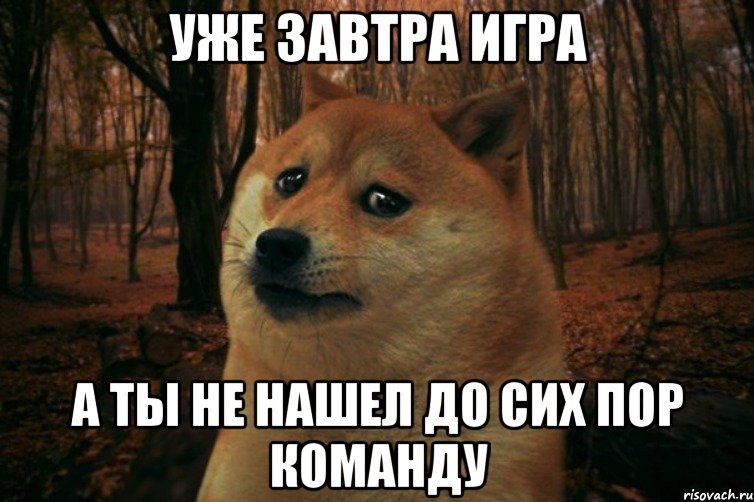 уже завтра игра а ты не нашел до сих пор команду, Мем SAD DOGE