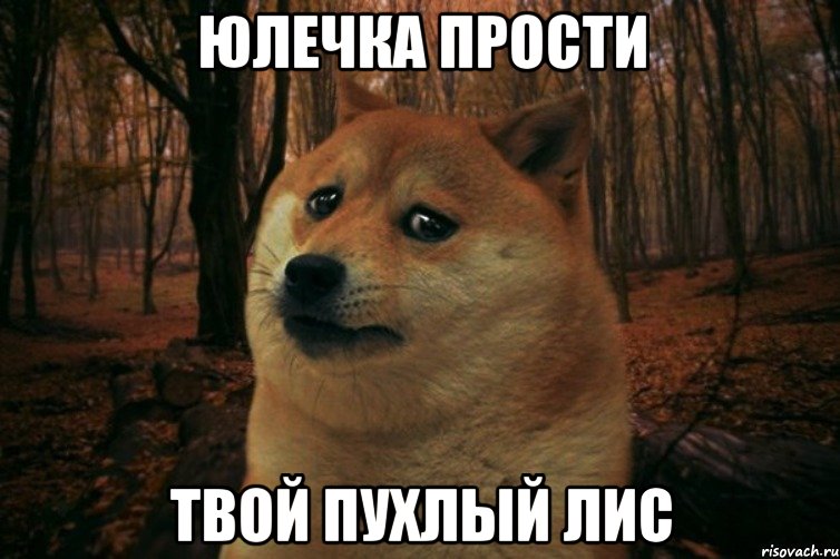 Юлечка прости твой пухлый лис, Мем SAD DOGE