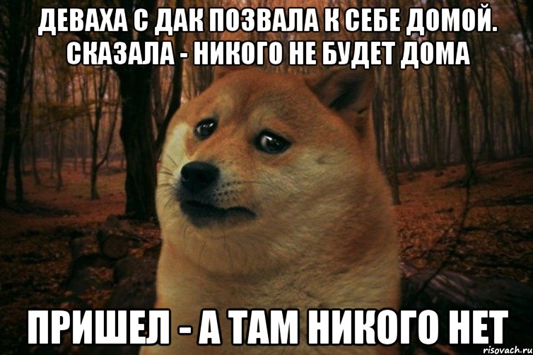 Деваха с Дак позвала к себе домой. Сказала - никого не будет дома Пришел - а там никого нет, Мем SAD DOGE