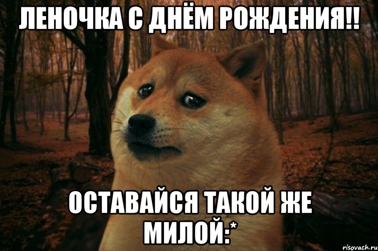 Леночка с днём рождения!! Оставайся такой же милой:*, Мем SAD DOGE