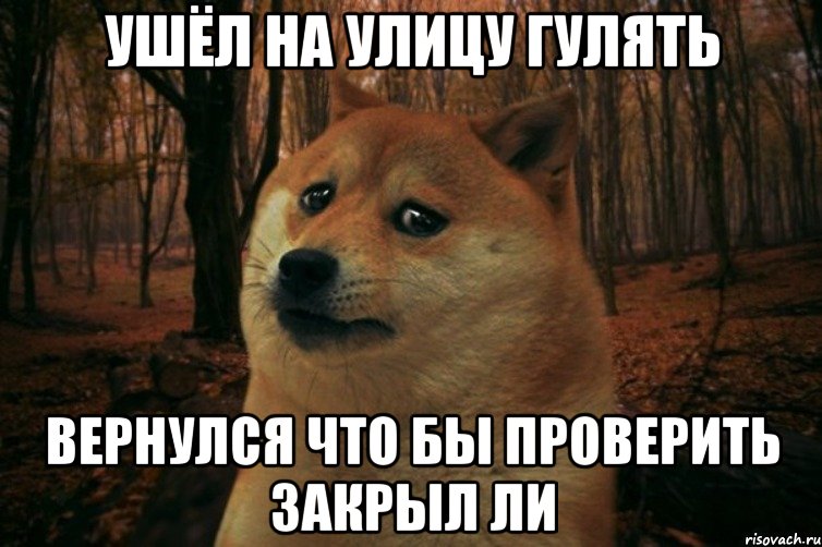 Ушёл на улицу гулять вернулся что бы проверить закрыл ли, Мем SAD DOGE