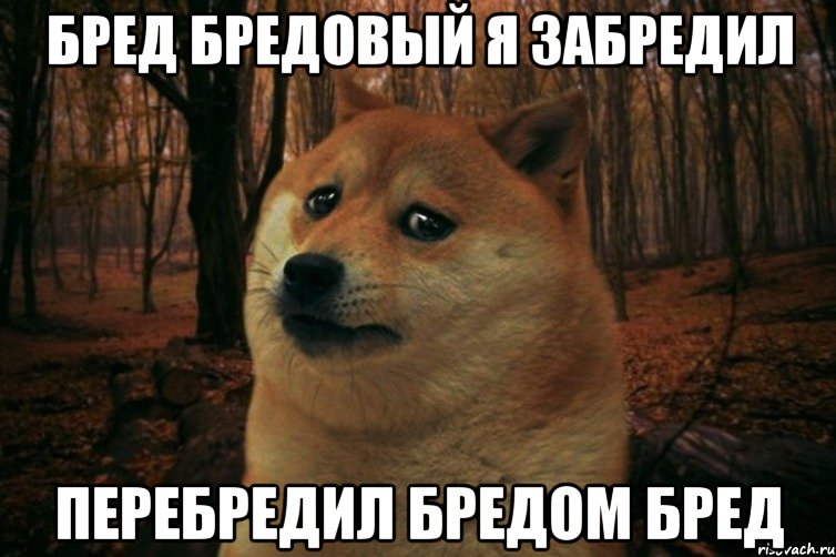 Бред бредовый я забредил перебредил бредом бред, Мем SAD DOGE